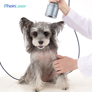 Penggunaan klinik hewan kelas 4 terapi <span class=keywords><strong>Laser</strong></span> untuk mesin pengobatan nyeri fisioterapi untuk pereda nyeri hewan - Product Image 5