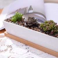 Pots à plantes succulentes en ciment rectangulaires carrés, petits pots de fleurs pour cactus avec plateau pour plantes vertes
