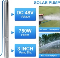 Pompe solaire submersible DC 48V 750W pour puits profond avec contrôleur MPPT 16A, en acier inoxydable de 3 pouces, contrôle entièrement automatique, hauteur de refoulement 230 pieds