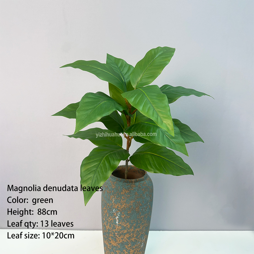 Magnolia hoja verde