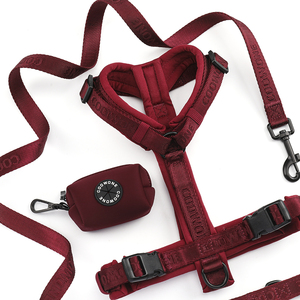 Conjunto de Correa y Collar Resistentes a Prueba de Escapes con Logotipo Personalizado, Arnés Ajustable Acolchado Suave para Perros Grandes, Sin Tirones - Product Image 3