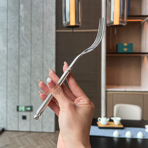 DF BC Fashion Nuevo Juego de Cubiertos de Acero Inoxidable con Mango Martillado Especial: Cuchillo de Mesa, Cuchillo para Carne, Tenedores de Mesa, Tenedores para Postre, Personalizado - Product Image 3