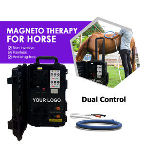 Équipement de thérapie magnétique par boucles PEMF pour chevaux, fourni par l'usine, pour soulager la douleur et prolonger la carrière des chevaux de course. - Product Image 1