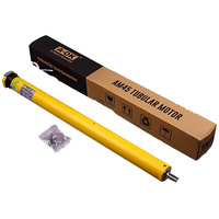 Moteur A-OK AM25 1/25 ES-E-Z Smart Tuya Zigbee WiFi batterie au Lithium Rechargeable volet roulant tubulaire 25mm Smart OK moteur