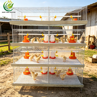 Nouvelle cage d'élevage verticale de type H pour 240 poussins, galvanisée à chaud, avec planche à fumier coulissante, faible teneur en poussière, haute performance