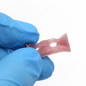 Resina para Impresión 3D de Encías Dentales, Modelos Flexibles de Encías, Resina de Alta Precisión - Product Image 3