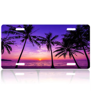 ป้าย<span class=keywords><strong>ทะเบียน</strong></span>รถแบบนูนหมายเลขโลโก้ธงชาติอเมริกันตกแต่งตามต้องการ - Product Image 2