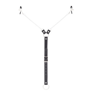Pinces à mamelon avec <span class=keywords><strong>anneau</strong></span> de pénis en métal inoxydable longue chaîne testicule Bondage stimulateur de mamelon érotique BDSM jouets sexuels pour hommes Couples - Product Image 1