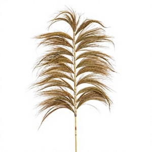 Hierba de Pampas Seca Natural Hecha a Mano, Ecológica, para Decoración de Bodas, Relleno de Jarrones, Estilo Bohemio Rústico - Product Image 1