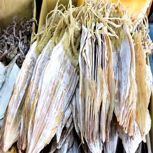 Hueso de Sepia Seco de Alta Calidad Hecho en Fábrica, 100% Natural, Grado 1, Paquete al Vacío de 10 kg, Mariscos, Vida Útil de 12-24 Meses - Product Image 1