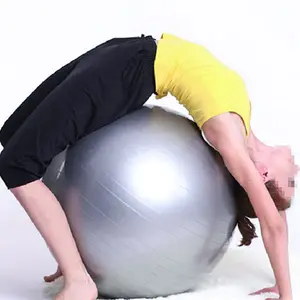 Bola Yoga Lembut 65Cm Bola Yoga PVC Tahan Lama Binaraga Peralatan Fitness