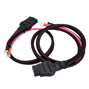 Cable de batería de 2 pines, arado y lado del camión para Western Fisher Snowplow 21294 61169 61548 8274, arnés de cableado para quitanieves, Cable para quitanieves - Product Image 2