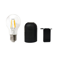 Lumière de Dieu, tours de magie, pouvoir mystérieux, magie, ampoule, magicien, scène, rue, fête, illusion, accessoires, mentalisme, amusement