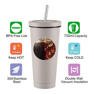 Top Seller 500ml 750ml Skinny Double Wall Water <b>Thermo</b> Mug Drinkware Vacuum Insulated Stainless Steel Tumbler With Straw Lid - Product Image 3
