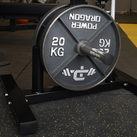 Support de rangement pour haltères et plaques de poids en acier et fer, équipement de fitness, rack de gym avec poulie