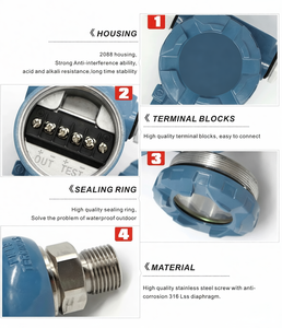 Transmisor de Presión GPT240 4 ~ 20mA con Pantalla LED LCD y Carcasa 2088 - Product Image 6