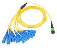 Câble de raccordement fibre optique haute densité 1, 8, 12, 24 fibres OM3 OM4 OM5 MPO MTP à transmission rapide
