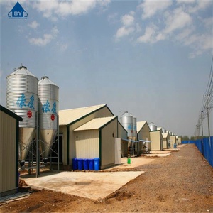 Poulailler pour 10000 poulets structure préfabriquée en acier à structure légère poulailler bâtiment de ferme avicole - Product Image 4