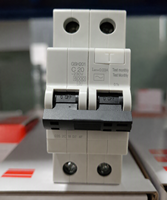 Disjoncteur différentiel GSH200 RCBO GSH203 AC-D40/0.03 40A 30mA Protection contre les fuites à la terre