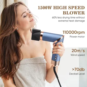 Fast Drying 110000rpm 5 In 1 Hair Dryer Professional Foldable Blow Dryer Professional Hair Dryer With Styling