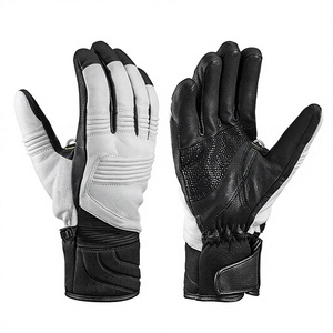 Gants de ski imperméables pour hommes et femmes, gants de ski d'hiver chauds et imperméables, gants de neige isolés et imperméables - Product Image 3