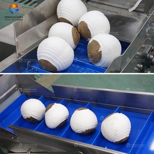 เครื่องปอกและล้างมะพร้าวแบบสองหัว สแตนเลส สำหรับผลไม้และผัก  รุ่นเชิงพาณิชย์ เป็นมิตรต่อสิ่งแวดล้อม - Product Image 4