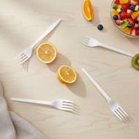 Greenday Aanpasbare Ecologische CPLA/PLA Vliegtuigbestek Vork voor Feesten Taart Dessert Fruit Composteerbaar 6"/6.5" CPLA Vork