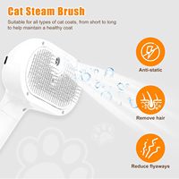 Brosse de Toilettage Vapeur Plastique pour Chats, Peigne de Massage avec Pulvérisateur, Épilateur Anti-Poils
