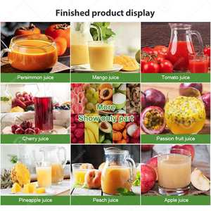 Máquina Despulpadora Industrial de Uvas para Frutas 500kg, Pulpeadora de Litchi - Product Image 6