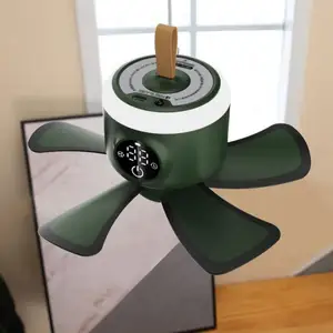Low Profile Low Price Rechargeable Cordless Ceiling Fan Plastic Modern Chinese Ceiling Fan with Light Remote Control Green 5v-2a