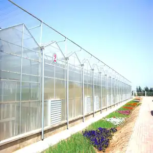 Muti-काल कृषि ग्रीनहाउस हीड्रोपोनिक्स टमाटर के लिए polycarbonate शीट ग्रीनहाउस/सब्जियों