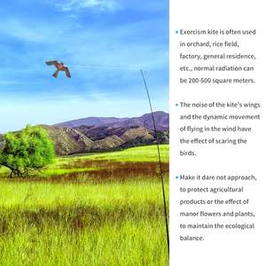 Offre Spéciale : Cerf-volant <span class=keywords><strong>effaroucheur</strong></span> d'oiseaux (faux faucon) anti-pigeon et anti-épervier, dissuasif pour les passers à vol d'oiseau, idéal pour jardin et extérieur - Product Image 6