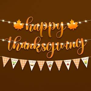 Striscione del ringraziamento felice luce a LED 10 piedi senza decorazioni per il ringraziamento illuminate da DIY decorazione all'aperto per la raccolta delle foglie d'acero - Product Image 1