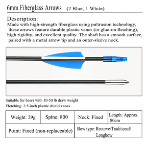 Nhà máy trực tiếp 6mm sợi thủy tinh đào tạo mũi tên với outsert mũi tên lời khuyên cho ngoài trời/lĩnh vực recurve thẳng kéo cung cho thể thao - Product Image 2