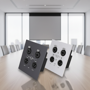 OEM Dante <strong>IO</strong> Device With Phantom for Auditorium - Product Image 6