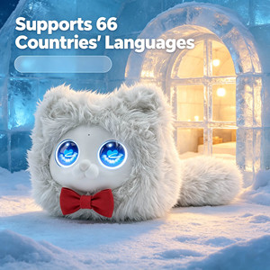 ของเล่นผู้ช่วยเสียงอัจฉริยะ รองรับ 66 ภาษา พร้อมความเป็นเพื่อนที่เข้าใจอารมณ์สำหรับเด็ก ชุดของขวัญเทคโนโลยี ผู้ผลิต OEM โดยตรง - Product Image 5