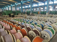 Câble réseau Cat6 extérieur Hongan