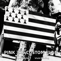 Drapeau de carnaval de Bretagne Bretagne personnalisé 3x5 pieds drapeaux imprimés pour concerts et décoration de chambre