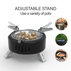 Camping Gas Stove APG Latest Style15800W 5 Burners Camping Gas Stove Portable Picnic Stove With 5 Burners Heads