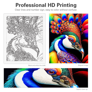 Pintura por Números, Colorido Pavo Real, Dibujo sobre <span class=keywords><strong>Lienzo</strong></span> <span class=keywords><strong>para</strong></span> Decoración del Hogar, Kits de Pintura, Regalo DIY, 40x50cm/16x20 pulgadas - Product Image 5