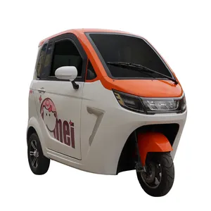 YANUO 2024 electric tricycle covered 3 wheel electric car adult with 3 wheels