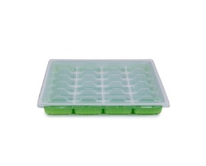 Disposable 24-compartment dumpling box takeaway box with lid wholesale plastic packaging box food container