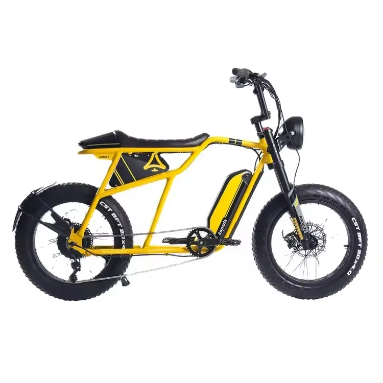 Bicicleta elétrica urbana para mountain bike e cruzeiro todo terreno, pneu gordo de 20 polegadas 750 W à venda