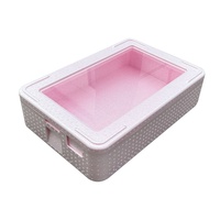 Boîte isotherme en polystyrène avec couvercle transparent pour tiramisu, gâteaux, desserts, chaîne du froid, restauration, livraison de pâtisseries fraîches
