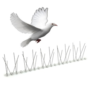 Oiseaux d'usine <span class=keywords><strong>Pigeon</strong></span> corbeau Pointes de contrôle <span class=keywords><strong>anti</strong></span>-oiseaux Broches en acier inoxydable base en plastique et personnalisé - Product Image 6