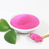 Poudre de Pitaya rouge 100% naturelle, 450 mailles, OEM ODM, marque privée, certifiée, séchée à froid, poudre de Fruit de Dragon rouge biologique