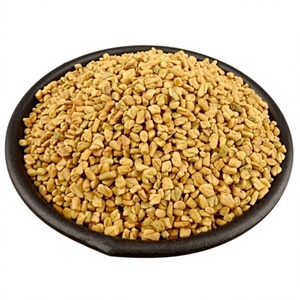 Fournisseur en gros d'herbes chinoises : Graines de fenugrec séchées en vrac, Graines de <span class=keywords><strong>lupin</strong></span> (haricots amers) 1000 grammes - Product Image 1