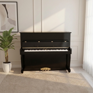 เปียโนแบบตั้งตรง/อะคูสติก/เงียบ รุ่น Black Polished Teaching Model 88 คีย์ (aup-120) Aup-120 ทำจากไม้เนื้อแข็ง ให้ความทนทานและ - Product Image 4