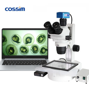6.7X ~ 180X support de <span class=keywords><strong>Microscope</strong></span> de piste de <span class=keywords><strong>Microscope</strong></span> stéréo de dissection numérique d'étape de chauffage de haute qualité avec la lumière transmise pour le rat - Product Image 3