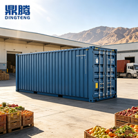Chambre froide mobile de 20 pieds pour l'exportation, avec option solaire, pour projets d'approvisionnement en aliments surgelés à distance et détaillants